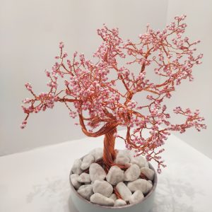Eclosion de Cerisier